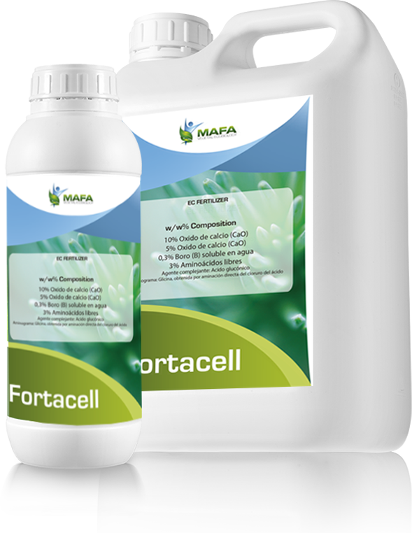 envases fortacell 1L y 5L
